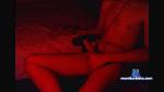 Brazilian1996 cam4 livecam show performer room profile