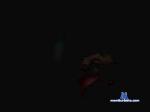 artmale cam4 livecam show performer room profile