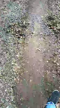 MarkWzbg cam4 live cam performer profile