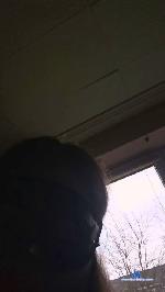 ShyWillow cam4 livecam show performer room profile