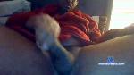 Bigblakwon cam4 livecam show performer room profile