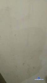 Solterinhasex cam4 livecam show performer room profile
