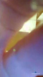 sexman4562 cam4 livecam show performer room profile