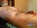 quarantineme cam4 livecam show performer room profile