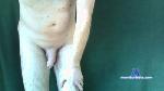 Ron1914 cam4 livecam show performer room profile