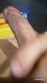 tazmania12 cam4 livecam show performer room profile
