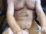 maxb361 cam4 livecam show performer room profile