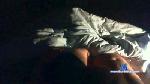 casaljomigl cam4 livecam show performer room profile