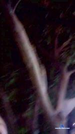 pajero2019 cam4 livecam show performer room profile