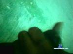 negatocat1 cam4 livecam show performer room profile
