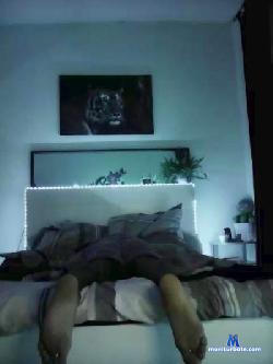 Chowi88 cam4 live cam performer profile