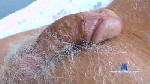 qaddy cam4 livecam show performer room profile