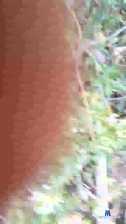 Calientefunx cam4 live cam performer profile