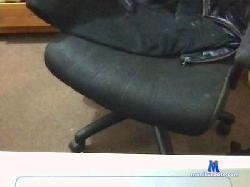 PassToluca cam4 live cam performer profile