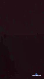 Elputazo cam4 livecam show performer room profile