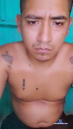 elnuevo20 cam4 livecam show performer room profile