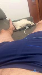 Orixa cam4 livecam show performer room profile