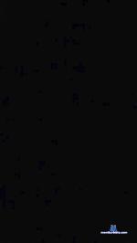 lovelyeus cam4 livecam show performer room profile