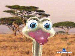 juaquis cam4 live cam performer profile