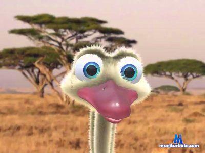 juaquis cam4 gay performer from Republic of Colombia  