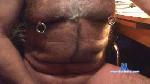 felinoid1 cam4 livecam show performer room profile