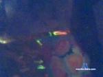 calin006 cam4 livecam show performer room profile