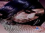 Bella_Poisonous cam4 livecam show performer room profile