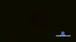 Lonewolf10fun cam4 livecam show performer room profile