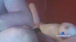 Fleurdelyse cam4 livecam show performer room profile
