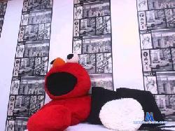 eliza_ammber cam4 live cam performer profile