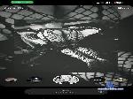 brainbodybliss cam4 livecam show performer room profile
