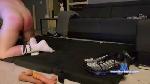 arabalphanl cam4 livecam show performer room profile