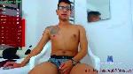 gatovirilxxx cam4 livecam show performer room profile