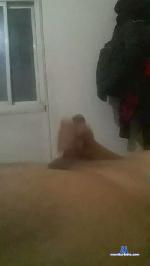 Armando5671 cam4 livecam show performer room profile