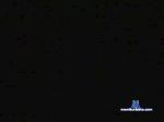 tommytuna cam4 livecam show performer room profile