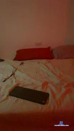 Torosediento cam4 livecam show performer room profile