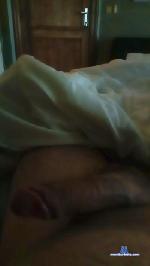 Hlxgastao cam4 livecam show performer room profile