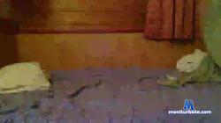 edgarsolutio cam4 live cam performer profile