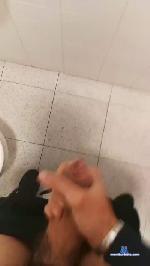 Insaciablepolla cam4 livecam show performer room profile