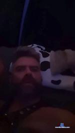 arnosa201 cam4 livecam show performer room profile