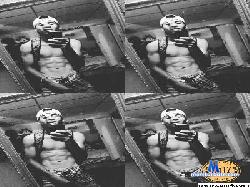 luis4033 cam4 live cam performer profile