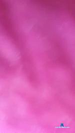 rosario442 cam4 livecam show performer room profile