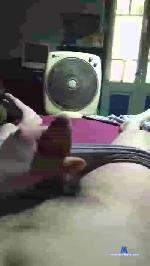 runi3 cam4 livecam show performer room profile