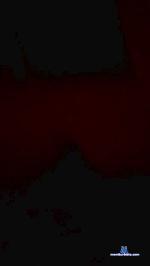 piolin19 cam4 livecam show performer room profile