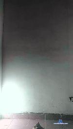 damian881 cam4 livecam show performer room profile