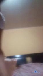 kendal_pink cam4 livecam show performer room profile