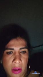 paula385 cam4 livecam show performer room profile