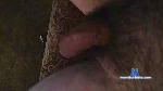 Wellhung1976197 cam4 livecam show performer room profile