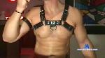 muscl4muscl cam4 livecam show performer room profile