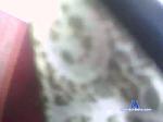 chicohot148 cam4 livecam show performer room profile